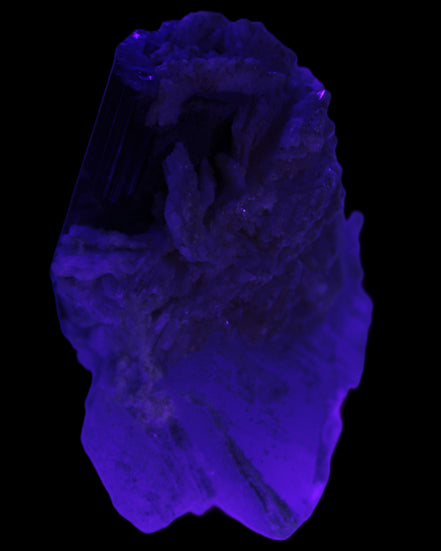 Large bi-colour terminated Green Tourmaline, Clear Aquamarine & Lepidolite on matrix 118.9g in UV light - Rocks and Things Store
