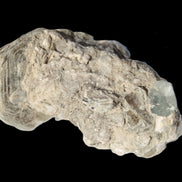 Small Aquamarine crystal on Lepidolote matrix 194.7ct  38.9g Rocks and Things