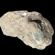 Small Aquamarine crystal on Lepidolote matrix 194.7ct  38.9g Rocks and Things