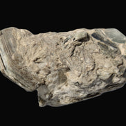 Small Aquamarine crystal on Lepidolote matrix 194.7ct  38.9g Rocks and Things