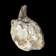 Small Aquamarine crystal on Lepidolote matrix 194.7ct  38.9g Rocks and Things