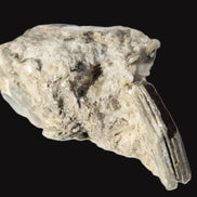 Small Aquamarine crystal on Lepidolote matrix 194.7ct  38.9g Rocks and Things