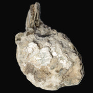 Small Aquamarine crystal on Lepidolote matrix 194.7ct  38.9g Rocks and Things