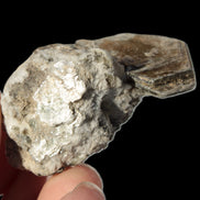 Small Aquamarine crystal on Lepidolote matrix 194.7ct  38.9g Rocks and Things