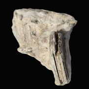 Small Aquamarine crystal on Lepidolote matrix 194.7ct  38.9g Rocks and Things