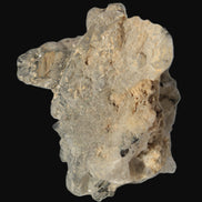 Elestial Smoky & Clear Quartz crystals with Calcite & Elbaite from Afghanistan 496.5ct 99.3g Rocks and Things