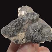 Elestial Smoky & Clear Quartz crystals with Calcite & Elbaite from Afghanistan 496.5ct 99.3g Rocks and Things