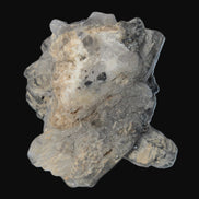 Elestial Smoky & Clear Quartz crystals with Calcite & Elbaite from Afghanistan 496.5ct 99.3g Rocks and Things