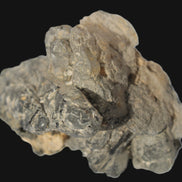 Elestial Smoky & Clear Quartz crystals with Calcite & Elbaite from Afghanistan 496.5ct 99.3g Rocks and Things