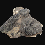 Elestial Smoky & Clear Quartz crystals with Calcite & Elbaite from Afghanistan 496.5ct 99.3g Rocks and Things