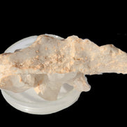 Clear Quartz crystals (Isis face) on flat Calcite/Mica matrix from Afghanistan 170.6ct 34.1g Rocks and Things