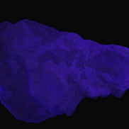 Clear Quartz crystals (Isis face) on flat Calcite/Mica matrix from Afghanistan 170.6ct 34.1g Rocks and Things