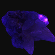 Dog-tooth Calcite cystals on cubic Purple Fluorite cluster 470.9ct  94.1g Rocks and Things