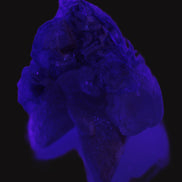 Dog-tooth Calcite cystals on cubic Purple Fluorite cluster 470.9ct  94.1g Rocks and Things