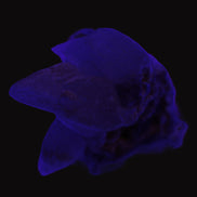 Dog-tooth Calcite cystals on cubic Purple Fluorite cluster 470.9ct  94.1g Rocks and Things