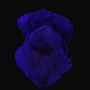 Dog-tooth Calcite cystals on cubic Purple Fluorite cluster 470.9ct  94.1g Rocks and Things