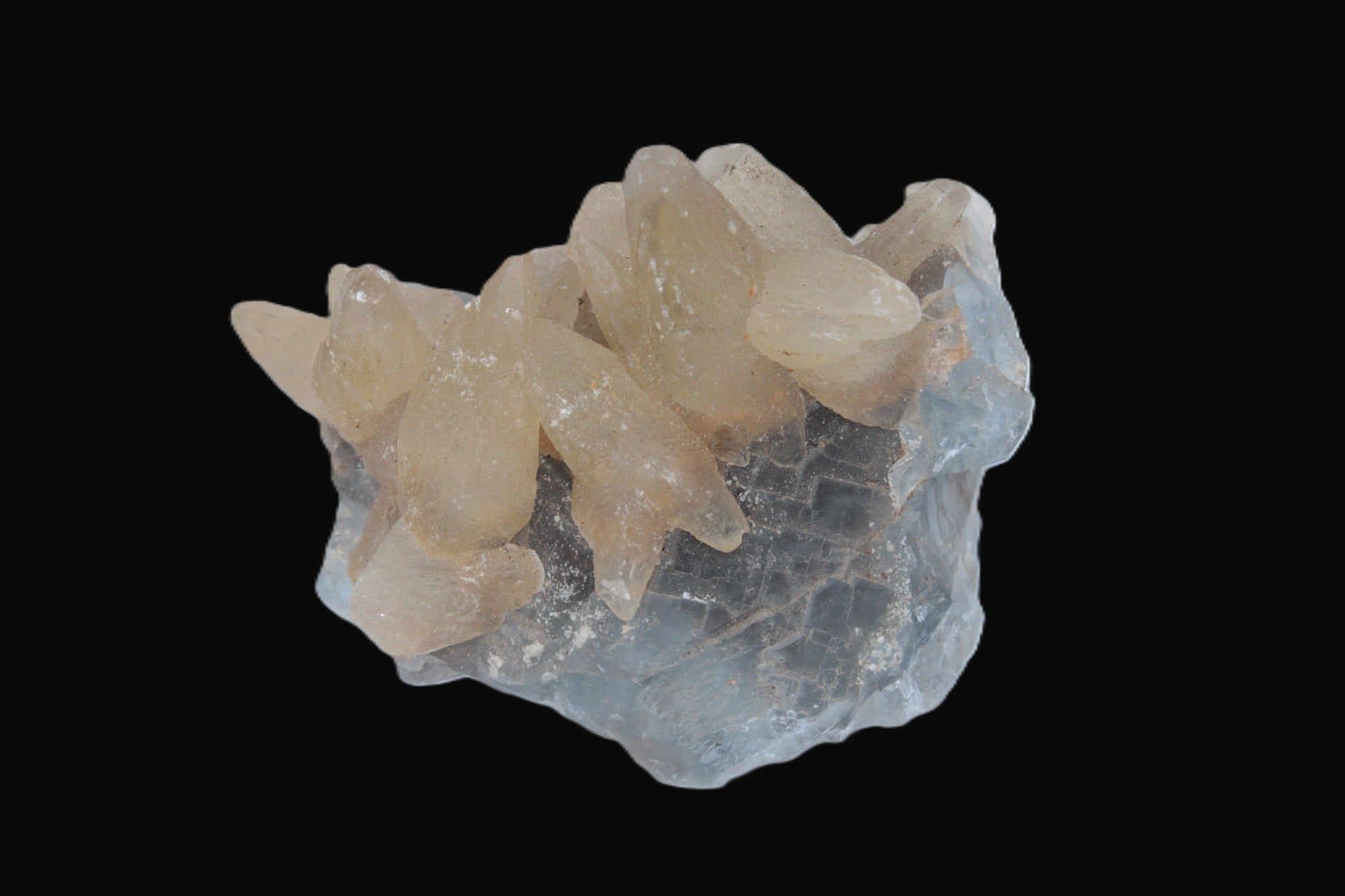 Dog-tooth Calcite cystals on cubic Blue Fluorite cluster 277ct  55.4g Rocks and Things