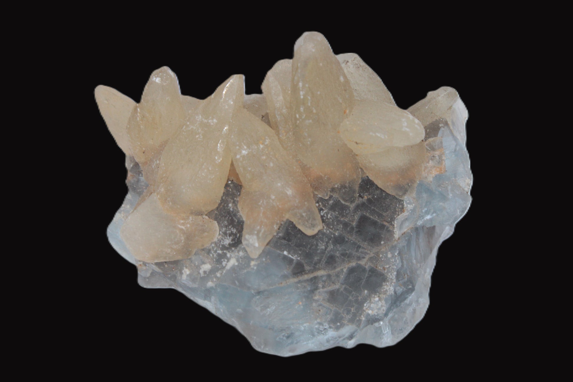 Dog-tooth Calcite cystals on cubic Blue Fluorite cluster 277ct  55.4g Rocks and Things