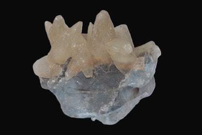 Dog-tooth Calcite cystals on cubic Blue Fluorite cluster 277ct  55.4g Rocks and Things