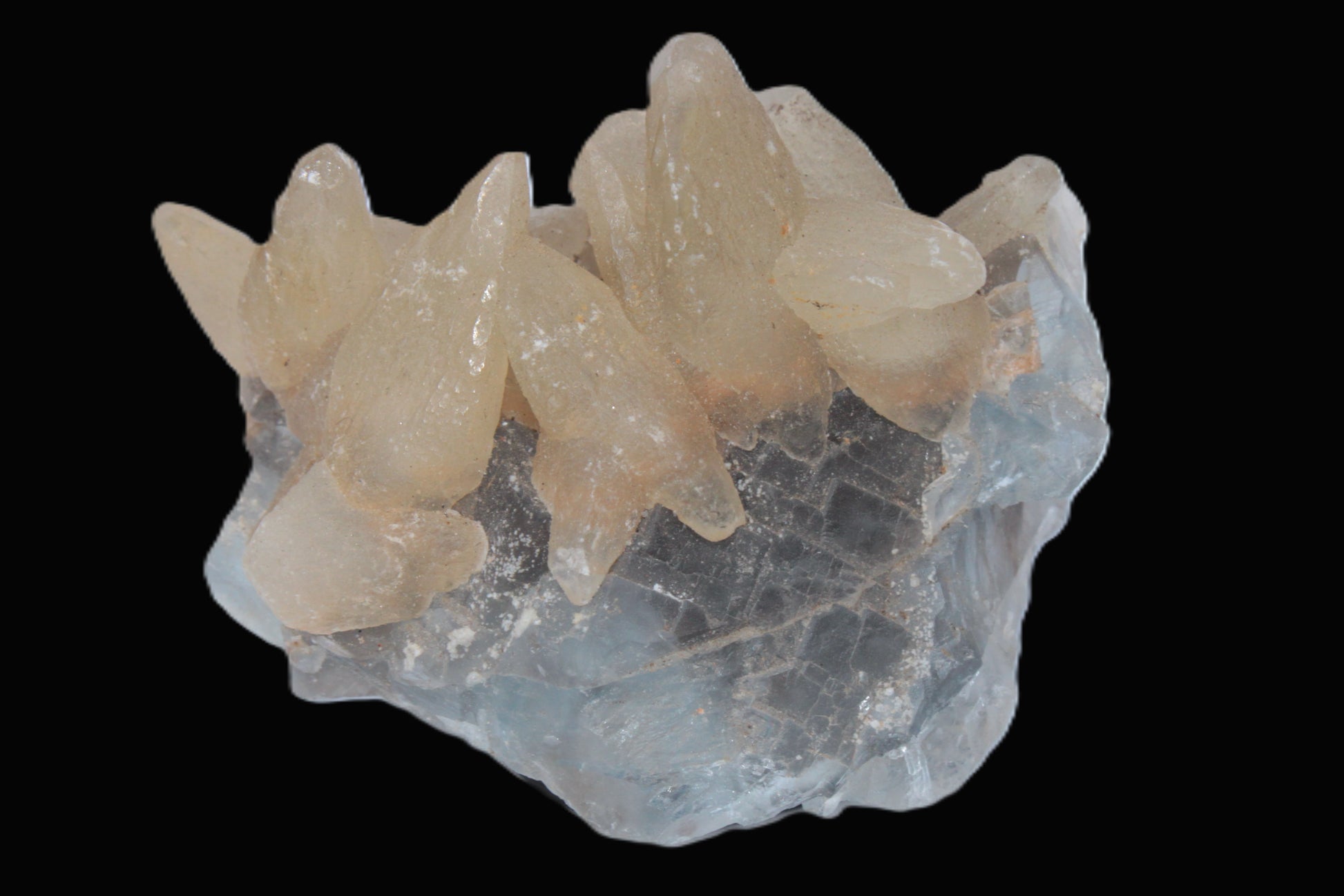 Dog-tooth Calcite cystals on cubic Blue Fluorite cluster 277ct  55.4g Rocks and Things