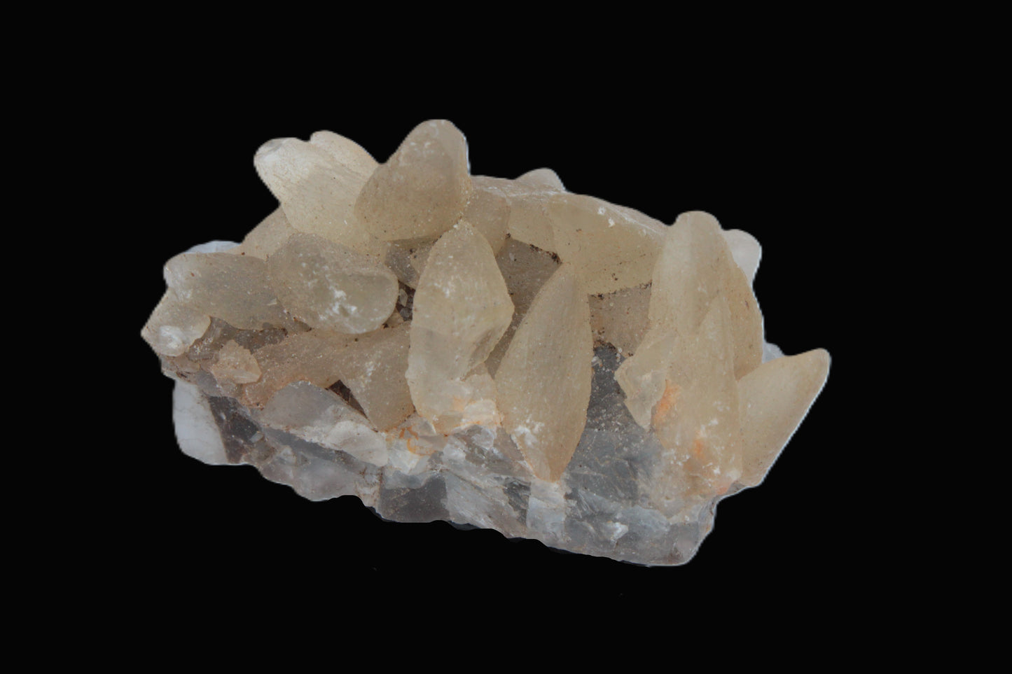 Dog-tooth Calcite cystals on cubic Blue Fluorite cluster 277ct  55.4g Rocks and Things