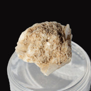 Dark Elbaite 17mm crystal on Feldspar & Mica matrix 25mm 49.2ct  9.8g Rocks and Things