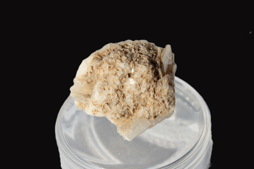 Dark Elbaite 17mm crystal on Feldspar & Mica matrix 25mm 49.2ct  9.8g Rocks and Things