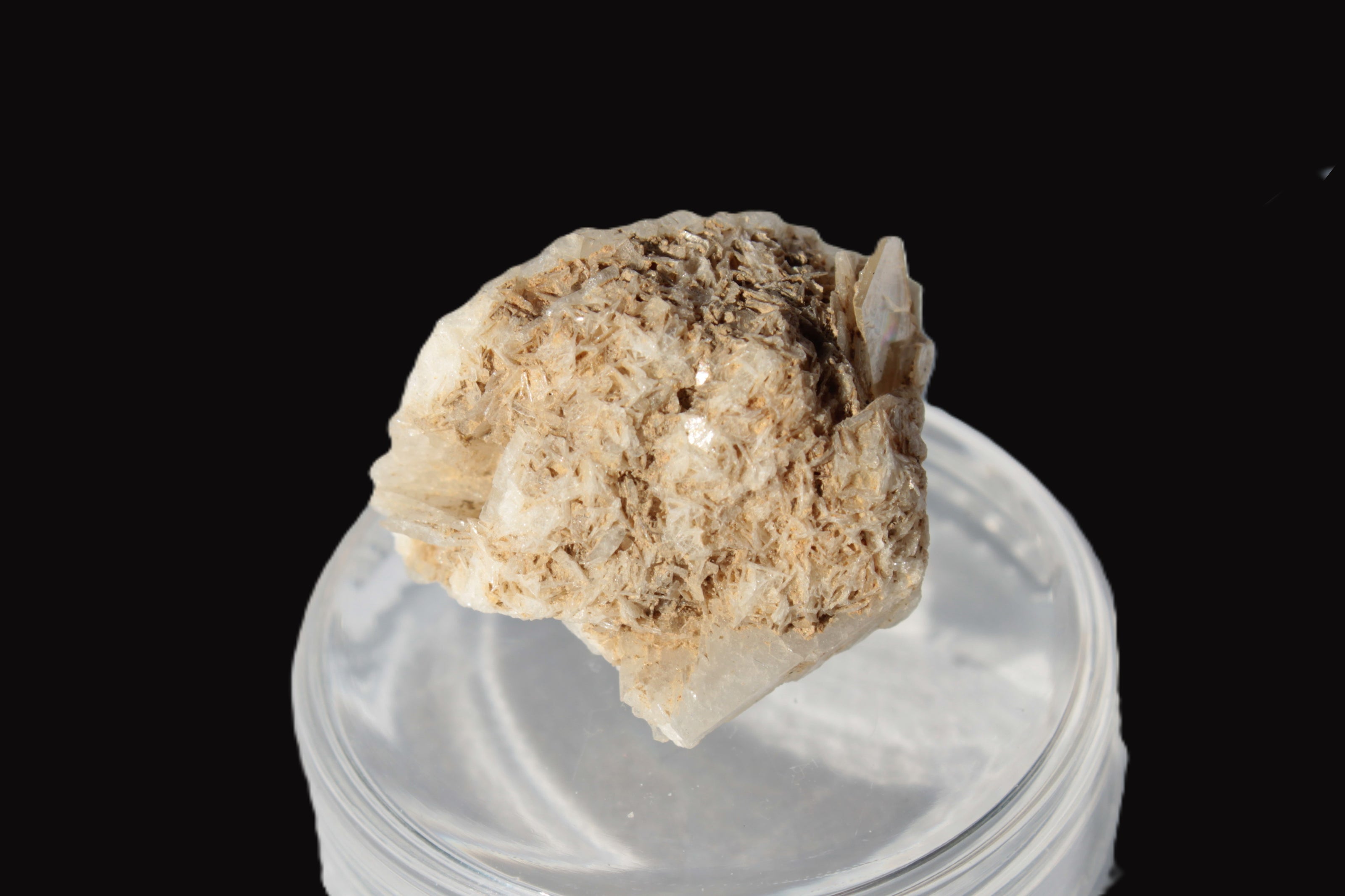 Dark Elbaite 17mm crystal on Feldspar & Mica matrix 25mm 49.2ct  9.8g Rocks and Things