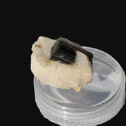 Dark Elbaite 17mm crystal on Feldspar & Mica matrix 25mm 49.2ct  9.8g Rocks and Things