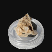 Dark Elbaite 17mm crystal on Feldspar & Mica matrix 25mm 49.2ct  9.8g Rocks and Things