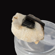 Dark Elbaite 17mm crystal on Feldspar & Mica matrix 25mm 49.2ct  9.8g Rocks and Things