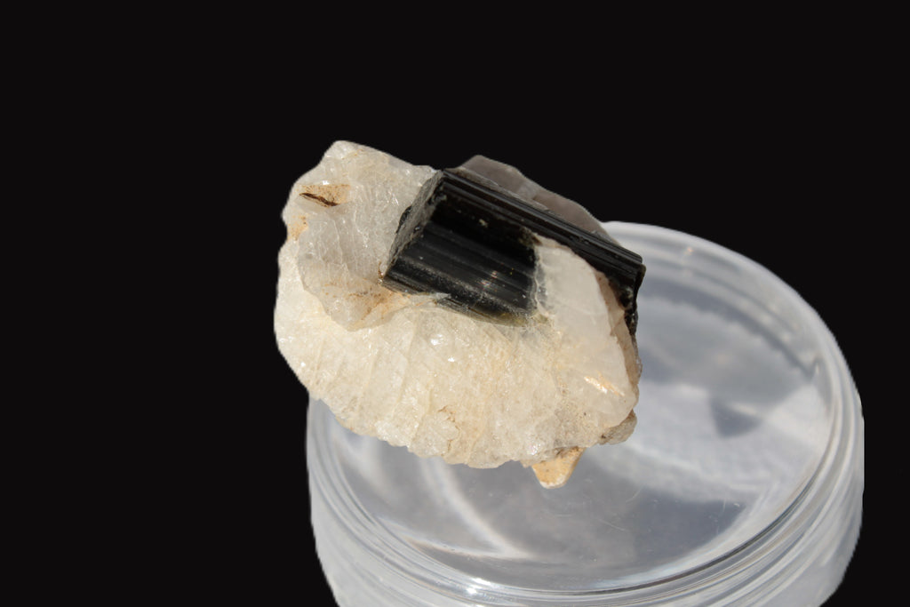 Dark Elbaite 17mm crystal on Feldspar & Mica matrix 25mm 49.2ct  9.8g Rocks and Things