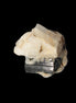 Dark Elbaite 17mm crystal on Feldspar & Mica matrix 25mm 49.2ct  9.8g Rocks and Things