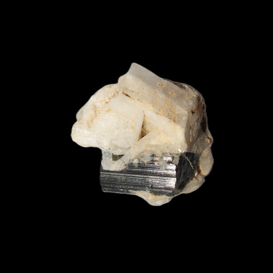 Dark Elbaite 17mm crystal on Feldspar & Mica matrix 25mm 49.2ct  9.8g Rocks and Things