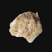 Dark Elbaite 17mm crystal on Feldspar & Mica matrix 25mm 49.2ct  9.8g Rocks and Things