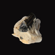 Dark Elbaite 17mm crystal on Feldspar & Mica matrix 25mm 49.2ct  9.8g Rocks and Things