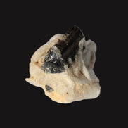 Dark Elbaite 17mm crystal on Feldspar & Mica matrix 25mm 49.2ct  9.8g Rocks and Things