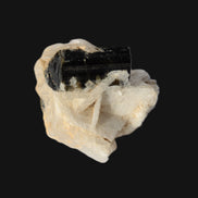 Dark Elbaite 17mm crystal on Feldspar & Mica matrix 25mm 49.2ct  9.8g Rocks and Things