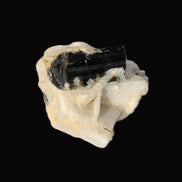 Dark Elbaite 17mm crystal on Feldspar & Mica matrix 25mm 49.2ct  9.8g Rocks and Things