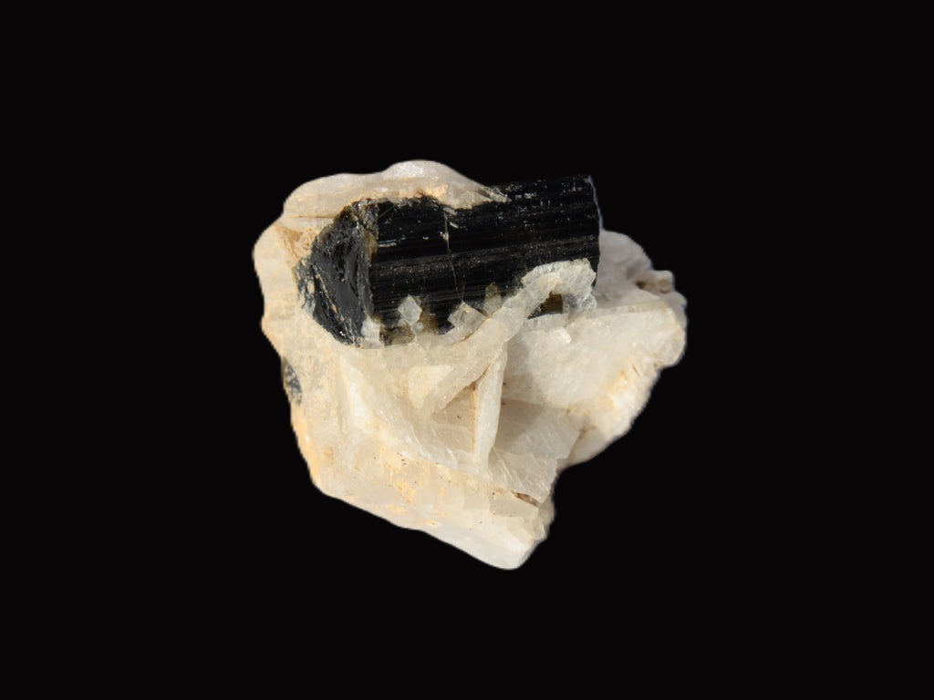 Dark Elbaite 17mm crystal on Feldspar & Mica matrix 25mm 49.2ct  9.8g Rocks and Things