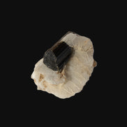 Dark Elbaite 17mm crystal on Feldspar & Mica matrix 25mm 49.2ct  9.8g Rocks and Things