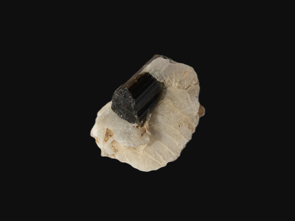 Dark Elbaite 17mm crystal on Feldspar & Mica matrix 25mm 49.2ct  9.8g Rocks and Things