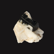 Dark Elbaite 17mm crystal on Feldspar & Mica matrix 25mm 49.2ct  9.8g Rocks and Things