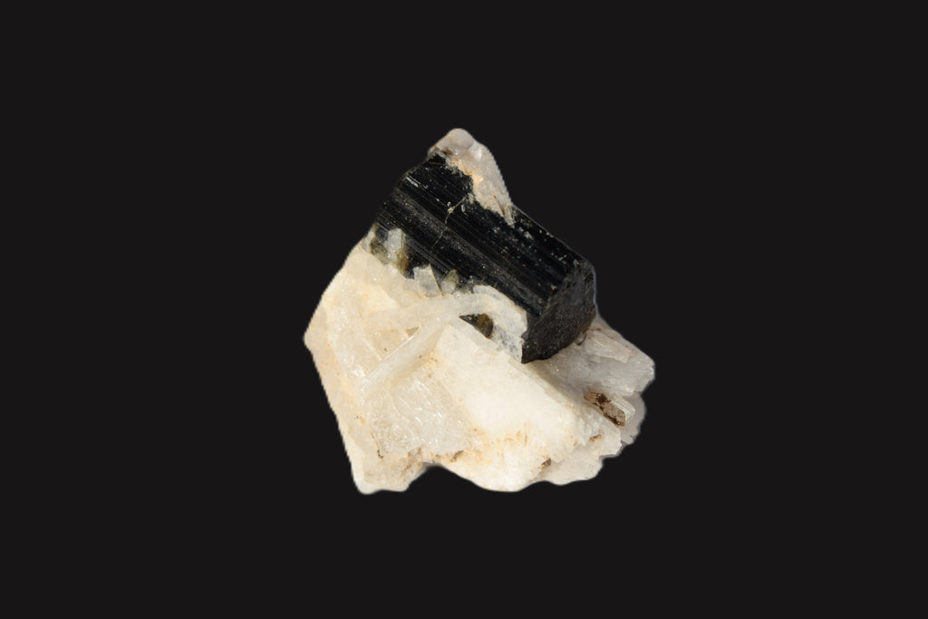 Dark Elbaite 17mm crystal on Feldspar & Mica matrix 25mm 49.2ct  9.8g Rocks and Things
