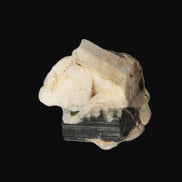 Dark Elbaite 17mm crystal on Feldspar & Mica matrix 25mm 49.2ct  9.8g Rocks and Things