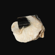 Dark Elbaite 17mm crystal on Feldspar & Mica matrix 25mm 49.2ct  9.8g Rocks and Things