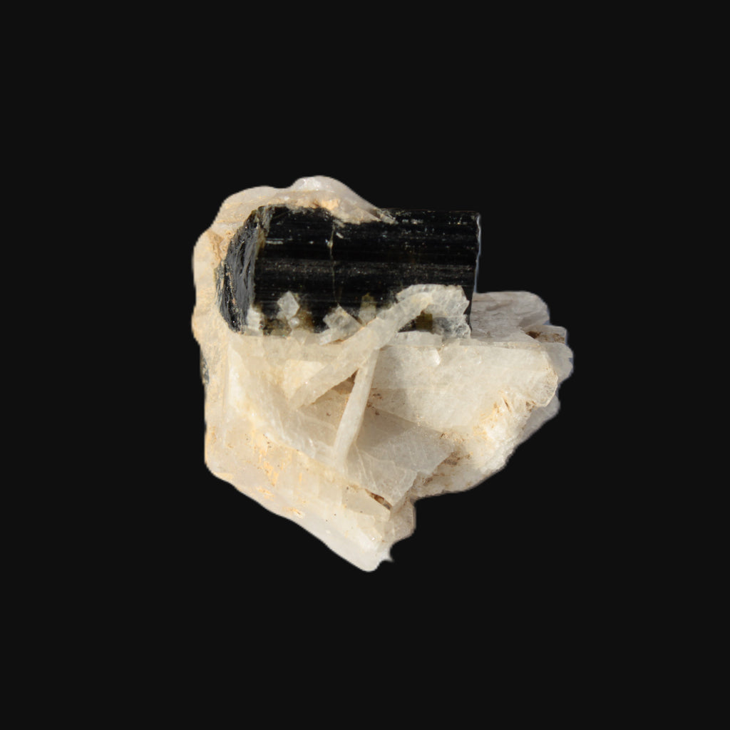 Dark Elbaite 17mm crystal on Feldspar & Mica matrix 25mm 49.2ct  9.8g Rocks and Things