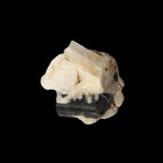 Dark Elbaite 17mm crystal on Feldspar & Mica matrix 25mm 49.2ct  9.8g Rocks and Things