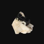 Dark Elbaite 17mm crystal on Feldspar & Mica matrix 25mm 49.2ct  9.8g Rocks and Things