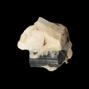 Dark Elbaite 17mm crystal on Feldspar & Mica matrix 25mm 49.2ct  9.8g Rocks and Things